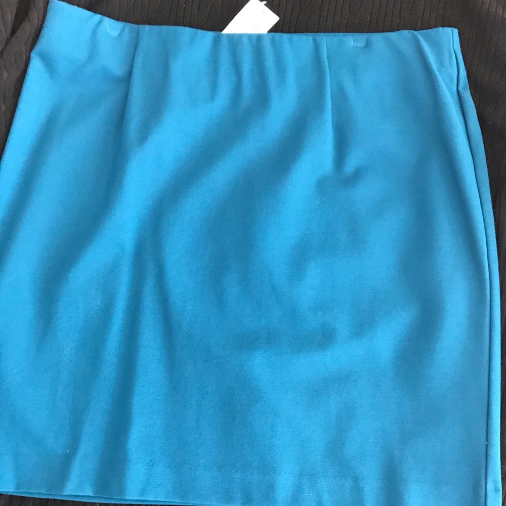 J Jill Knee Length Skirt - Never Worn